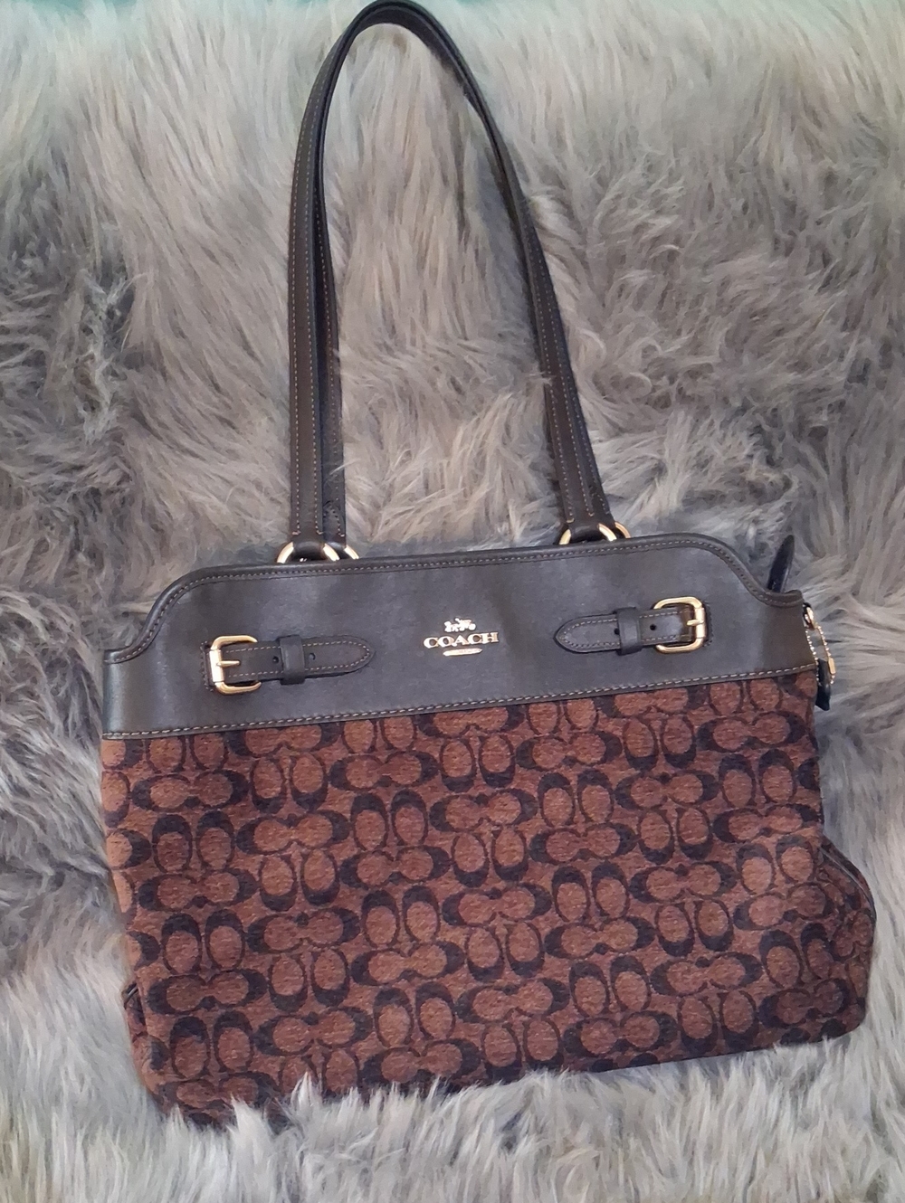 Coach Easton Tote Bag
